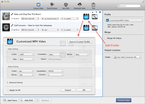 Customize Parameter Settings