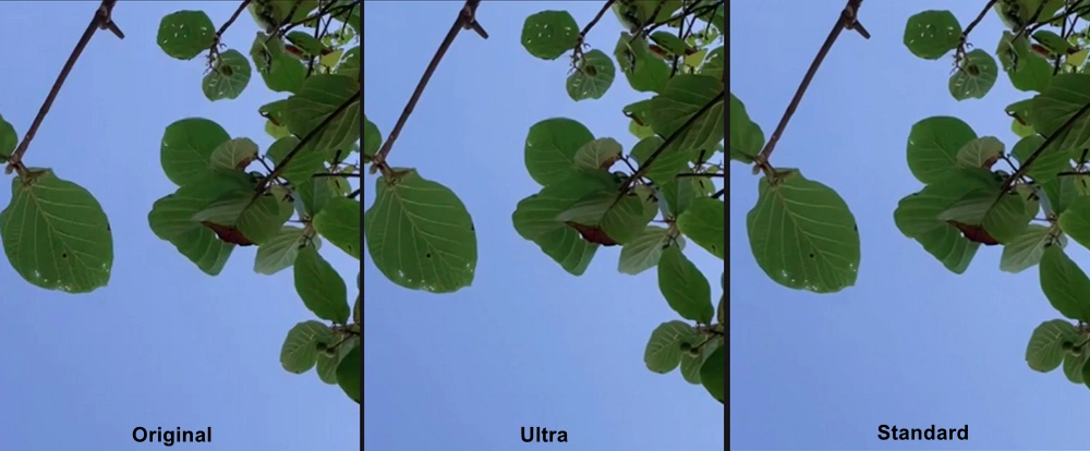 avclabs video enhancer review standard and ultra model test
