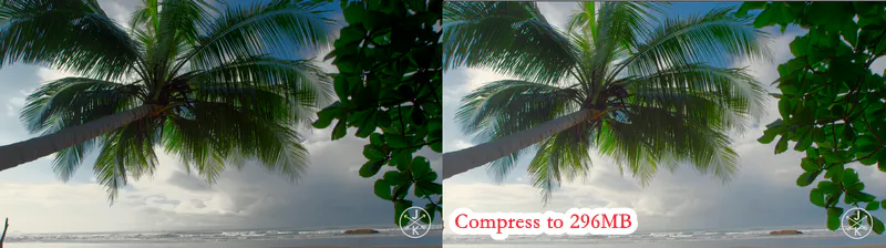 winxvideo compression result