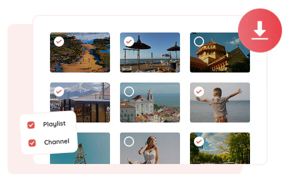 catch x videos in bulk
