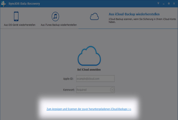 iCloud Backup scannen